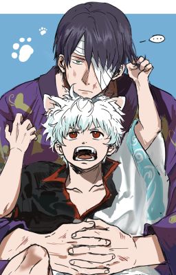 【TakaGin】Nhật ký nuôi mèo ฅ^•ﻌ•^ฅ