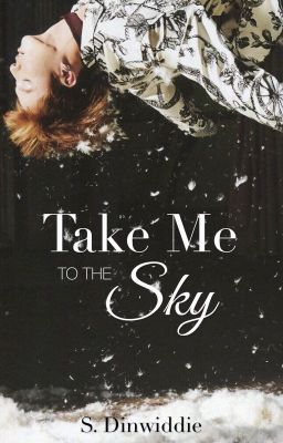 Take Me to the Sky | BTS+