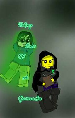 Taking Care Of A Garmadon 