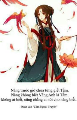 tấm cám