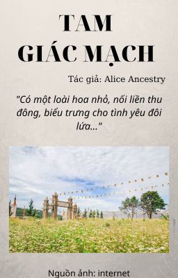 Tam Giác Mạch