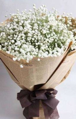 Tâm sự mỏng