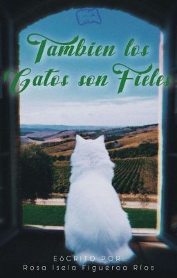 También los gatos son fieles 