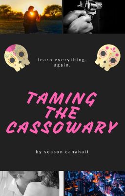 Taming the Cassowary