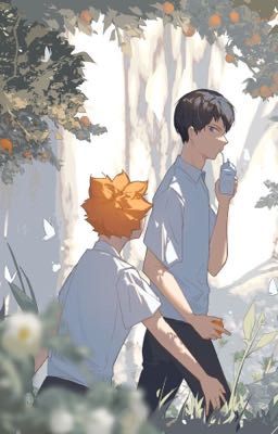 Tàn [kagehina]