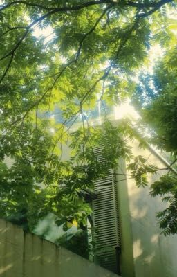 [Tân Vân Lai - Hà Dữ] Chạy Theo Bóng Em