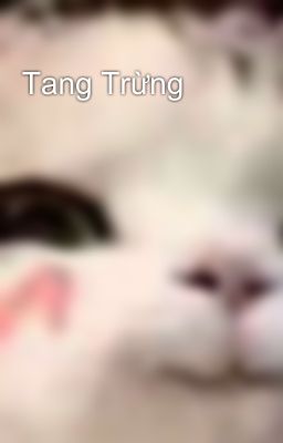 Tang Trừng