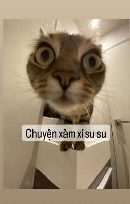 Tập Hợp Những Chuyện Xàm Xí