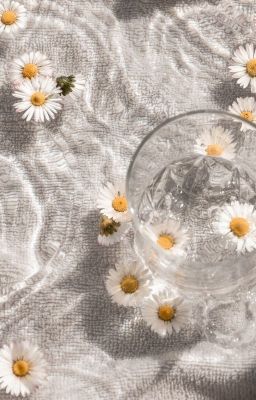 |TartaLi| | Written Fic | • Chuyện ngày tết Hải Đăng