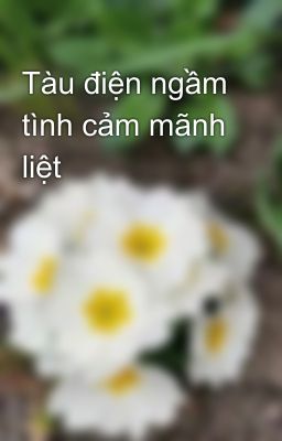 Tàu điện ngầm tình cảm mãnh liệt