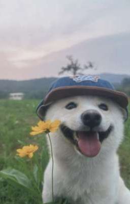 TBTN | Nhà Trọ hay Nhà Trẻ