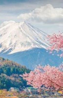 [TdBk] Sau khi comeout, tôi liền bị bám đuôi.