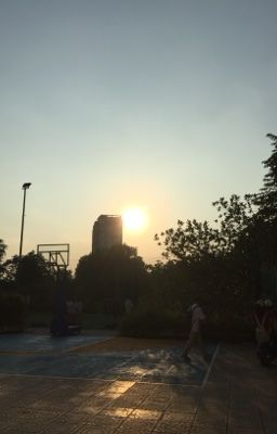 tệ