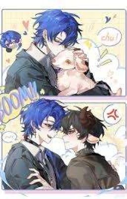 Tề Hạ harem. 【 Fanfic 】