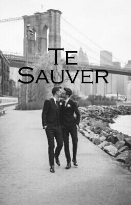 Te Sauver [Boyxboy]