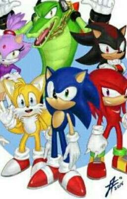 Team sonic is the type of boyfriends/GirlsFriends Terminada