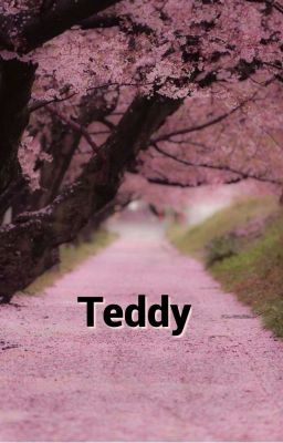 Teddy