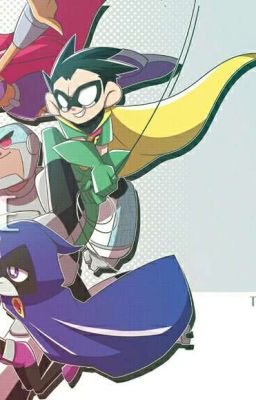 Teen titans go x reader