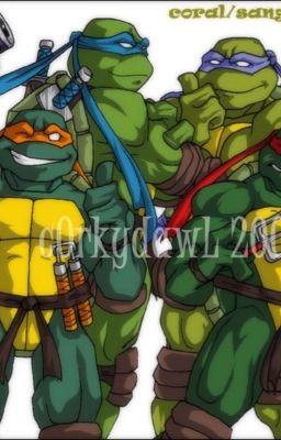 Teenage Mutant Ninja Turtles RP~Into the Sewers~