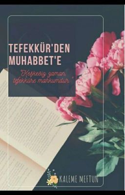 Tefekkür'den Muhabbet'e