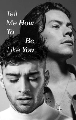 Tell Me How To Be Like You (Zarry)