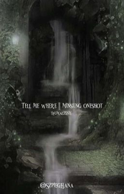 Tell me where || minsung oneshot