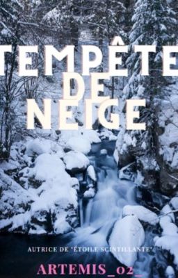 Tempête de Neige