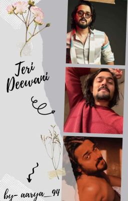 Teri Deewani