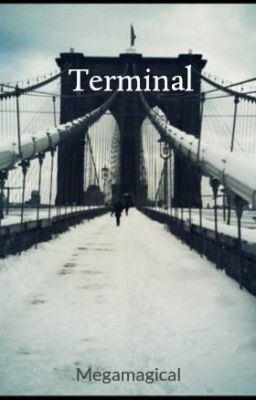 Terminal