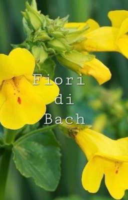 Test con i fiori di Bach🌼🌸🪻