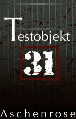 Testobjekt 31