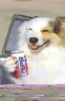 [text] gillbinh / gentle, baby