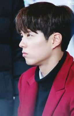 text • imagine Bogum • Mứt Dâu