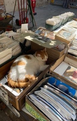|textfic| Lắm lời
