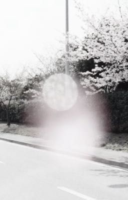 [textfic] xiangyuan | fast flow