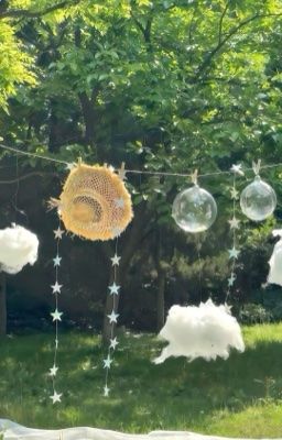 Thang Máy và Tầng Sáu 