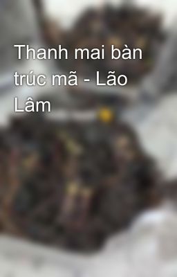 Thanh mai bàn trúc mã - Lão Lâm