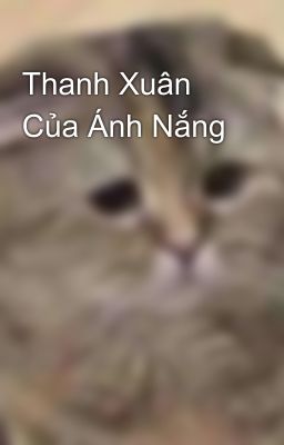 Thanh Xuân Của Ánh Nắng