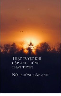 Thật vui vì gặp anh cũng thật vui nếu không gặp anh