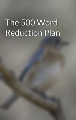 The 500 Word Reduction Plan