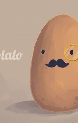 THE ADVENTURES OF BROTATO