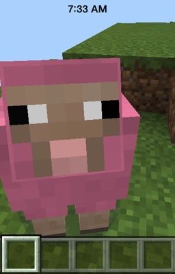 The Adventures of Pink Sheep