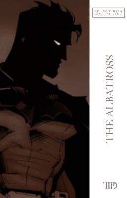 ✓ THE ALBATROSS | BATMAN