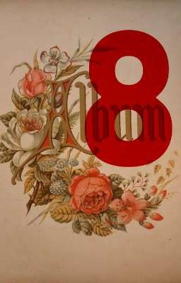 The Album 8