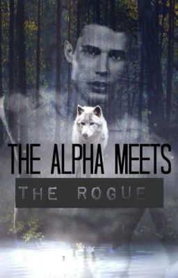 The Alpha Meets The Rogue (Alternate Reality--High School)