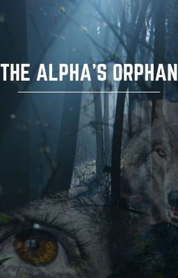 The Alpha's Orphan