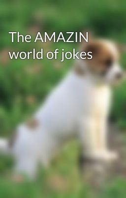 The AMAZIN world of jokes