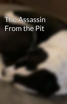 The Assassin From the Pit