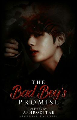 the bad boy's promise°