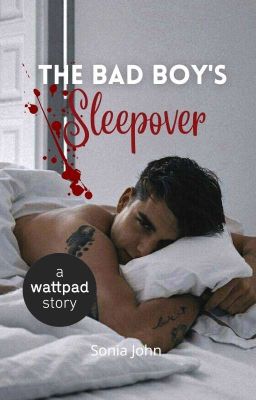 The Bad Boy's Sleepover